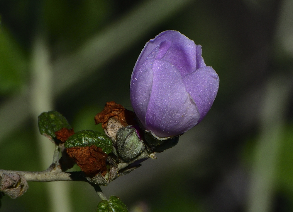 _ROY6802_01.jpg