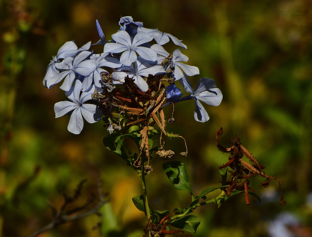 _ROY6932_00001.jpg
