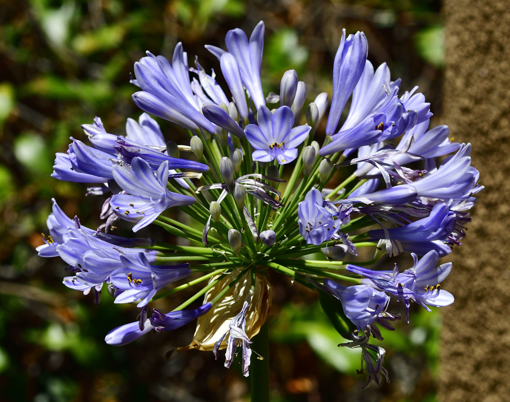 _ROY6938_00001.jpg