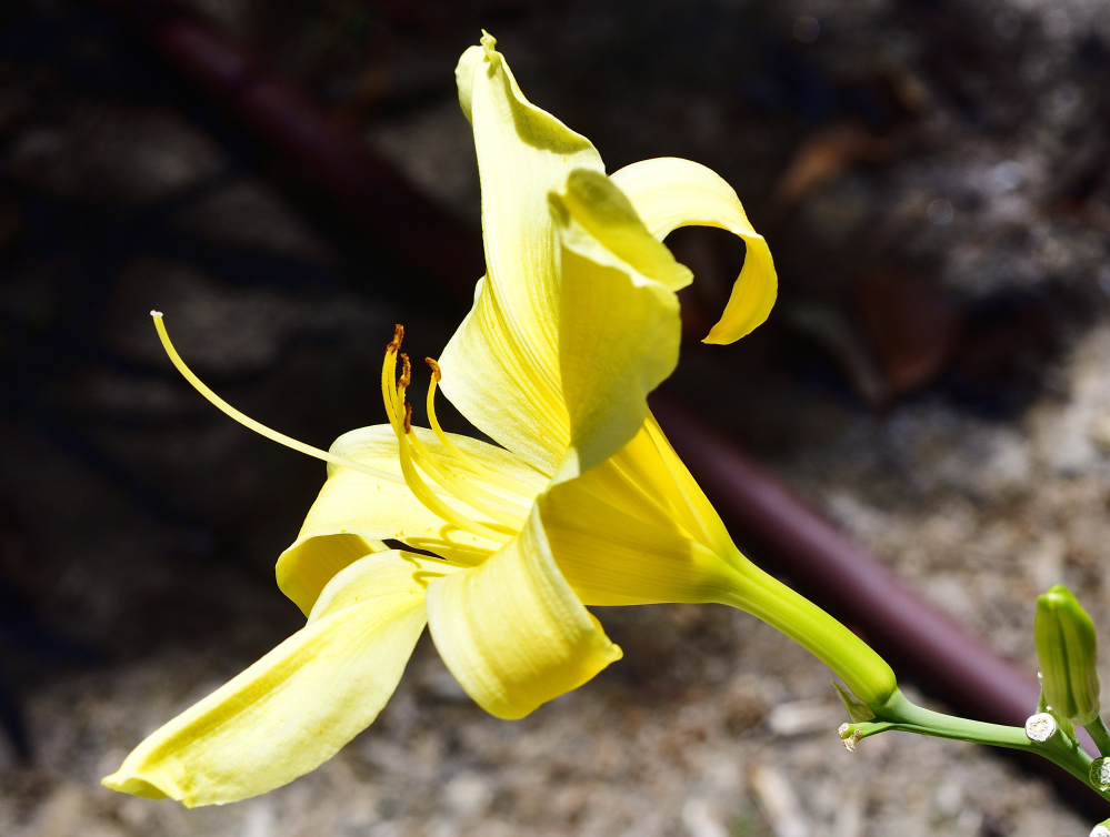 _ROY6940_00001_01.jpg