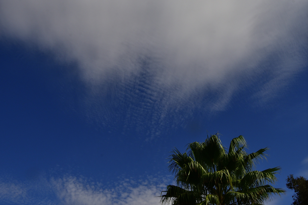 _ROY7017_00001.jpg