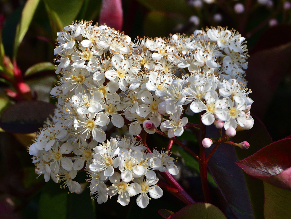 _ROY7140_00001_00001.jpg