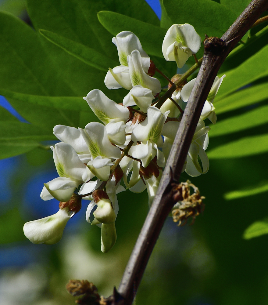 _ROY7144_00001_01.jpg