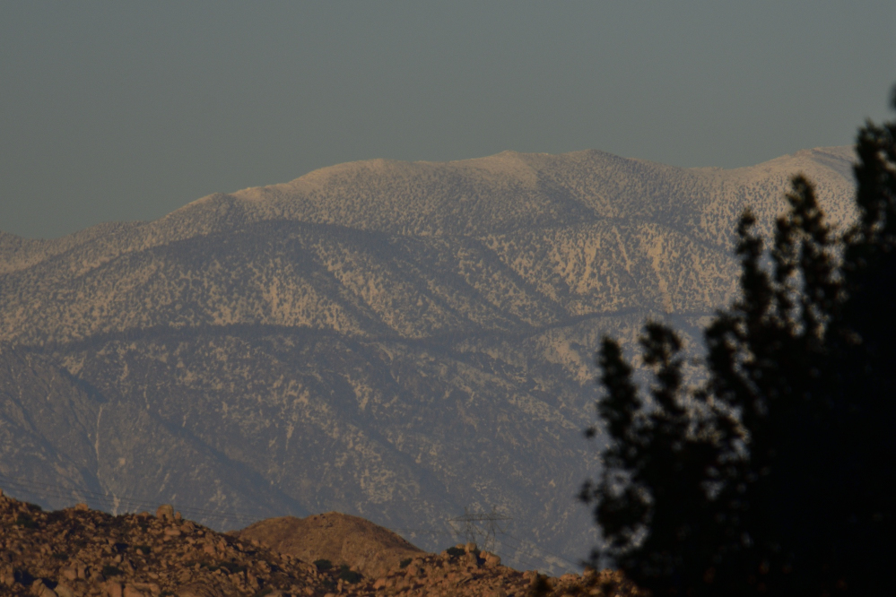 _ROY7152_00001.jpg