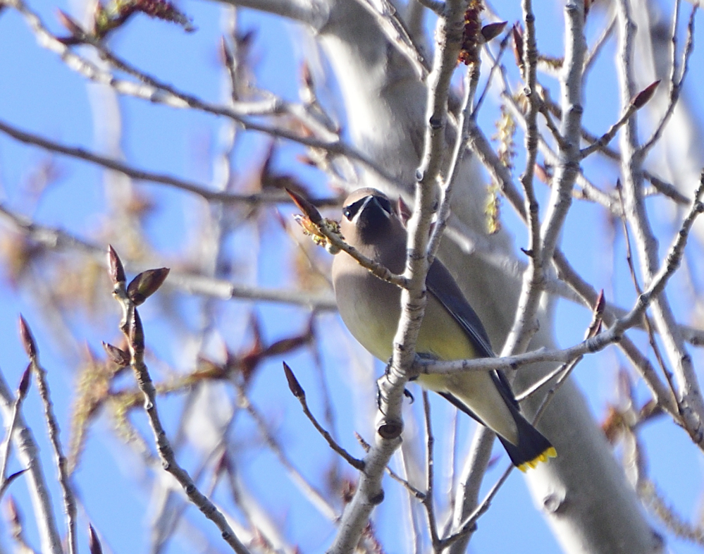 _ROY7153_00001.jpg