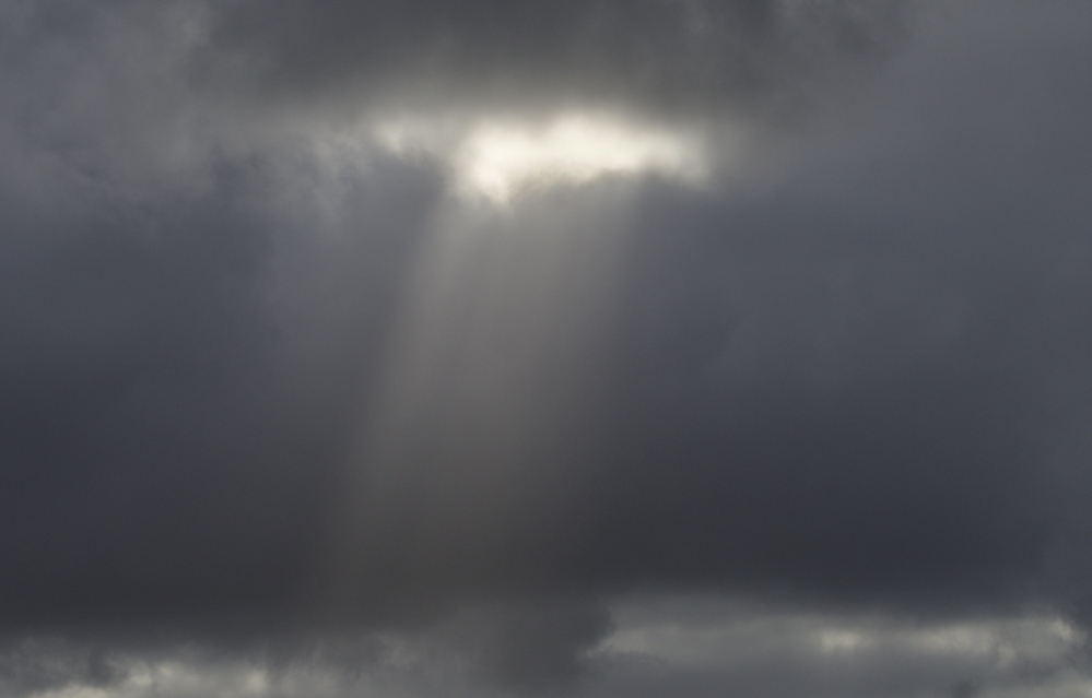 _ROY7206_00001.jpg