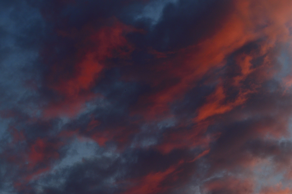 _ROY7264_00001.jpg