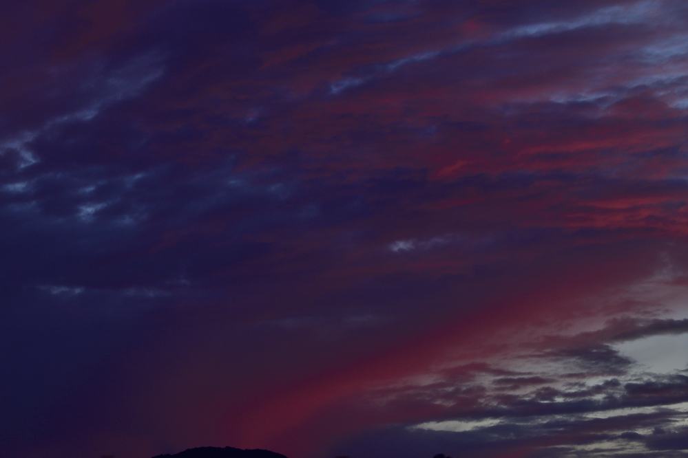_ROY7276_00001.jpg