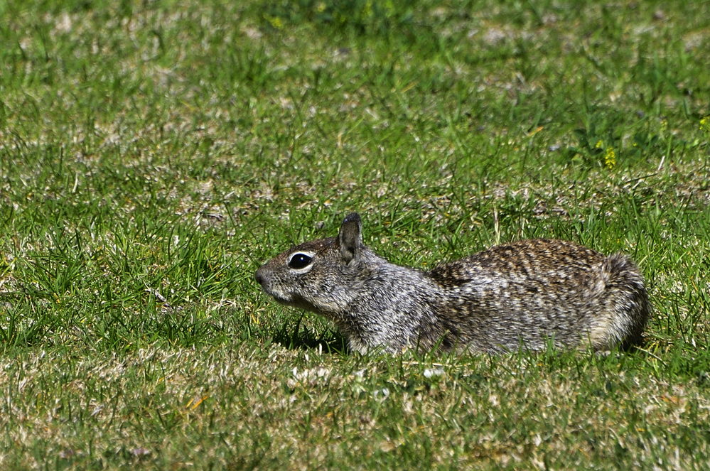 _ROY7328_00001.jpg