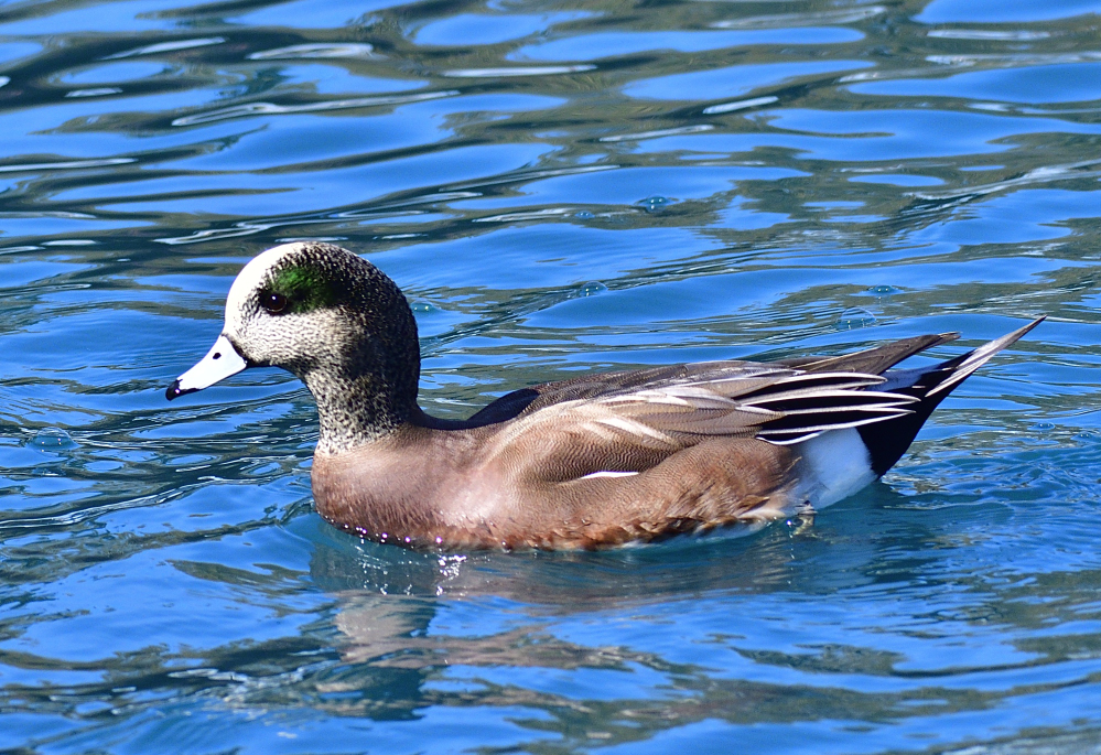 _ROY7358_00001_01.jpg