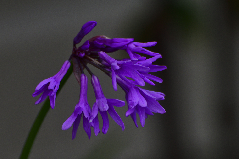 _ROY7380_00001_01.jpg