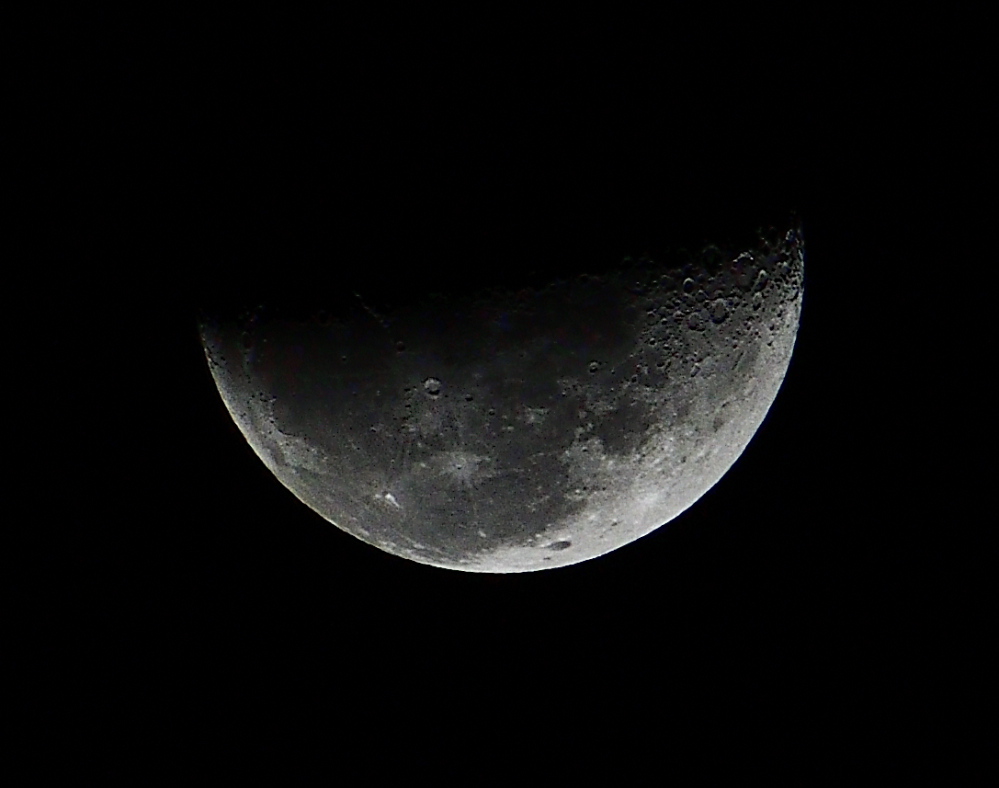 _ROY7609_01.jpg
