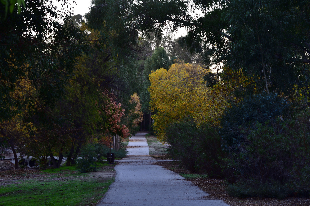 _ROY7709_00001.jpg