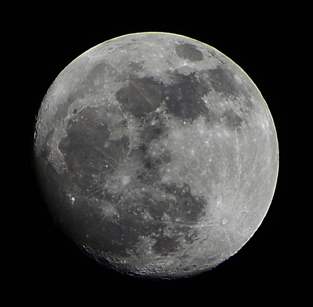 _ROY7749_00001_02.jpg