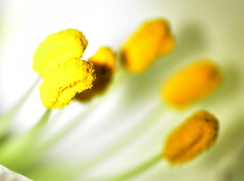 _ROY7763_00001_01.jpg
