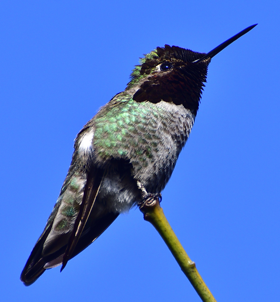 _ROY8046_00001.jpg