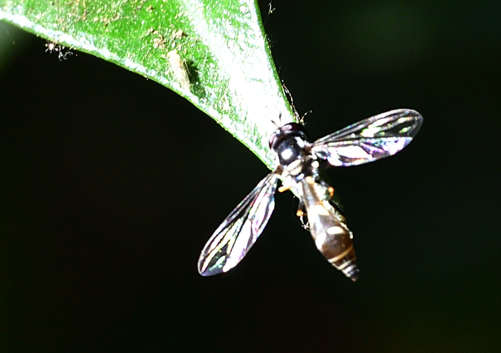 _ROY8308_00001.jpg