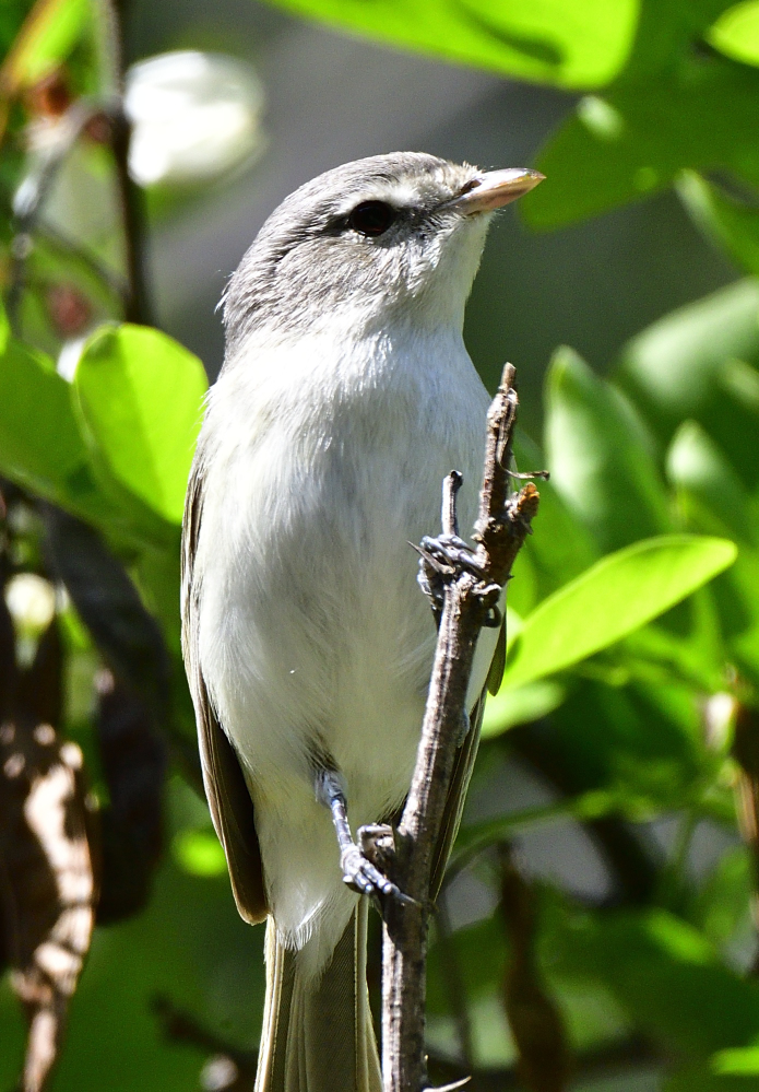 _ROY8349_00001.jpg