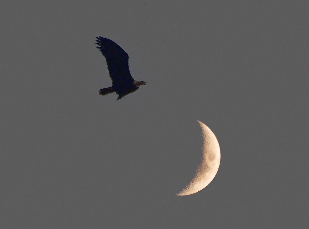 _ROY8367_00001.jpg