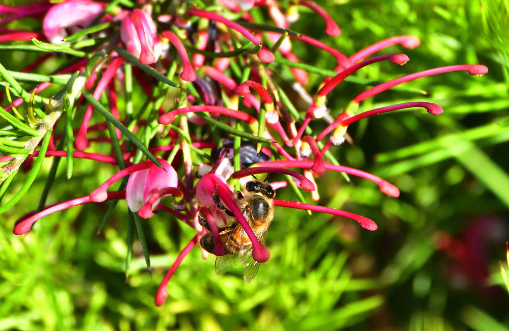 _ROY8377_00001.jpg