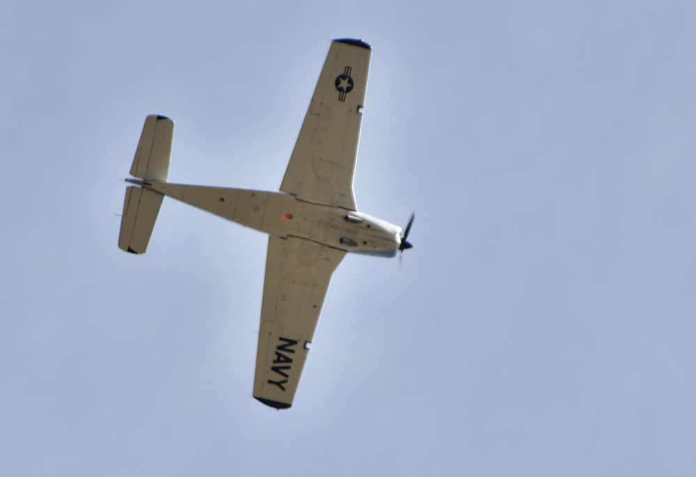 _ROY8420_00001.jpg
