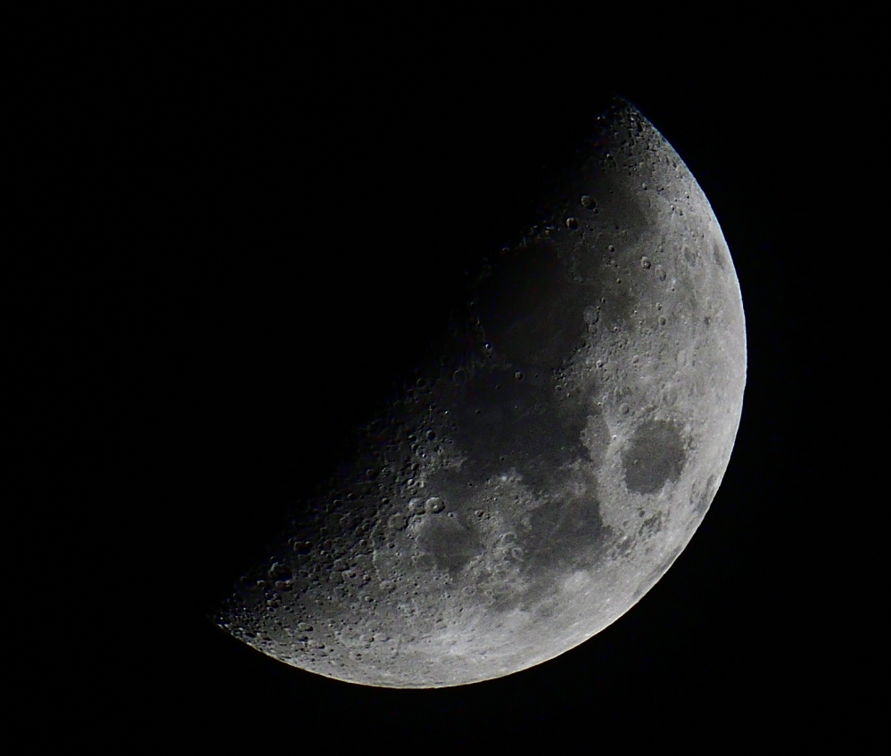 _ROY8478_00001.jpg
