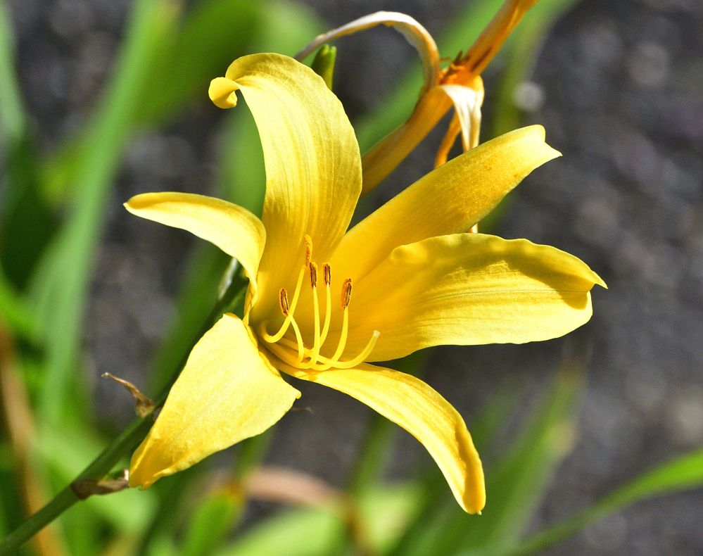 _ROY8648_00001.jpg
