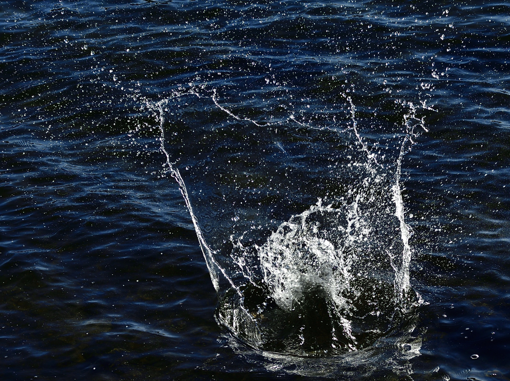 _ROY8700_00001.jpg