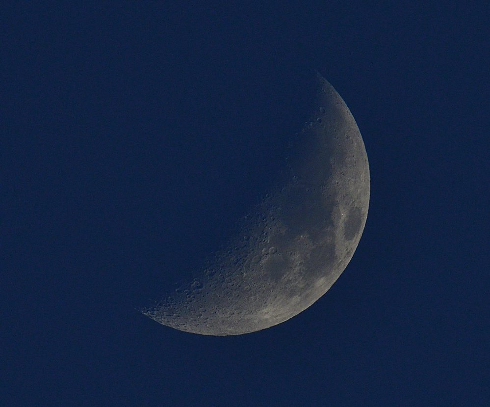 _ROY8714_00001.jpg