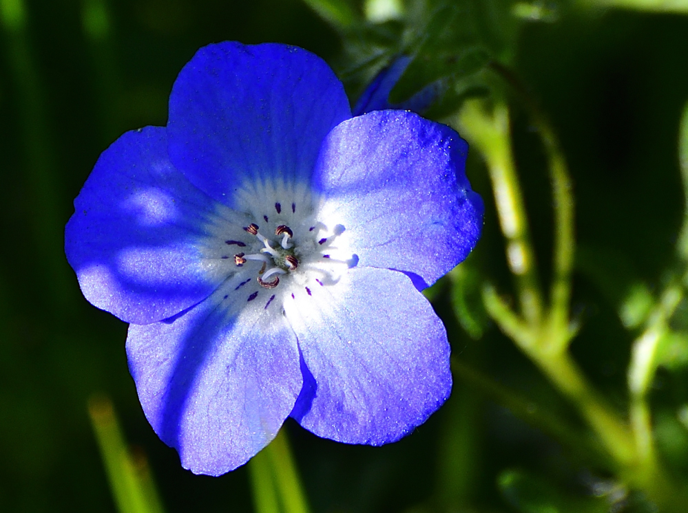 _ROY8743_00001.jpg