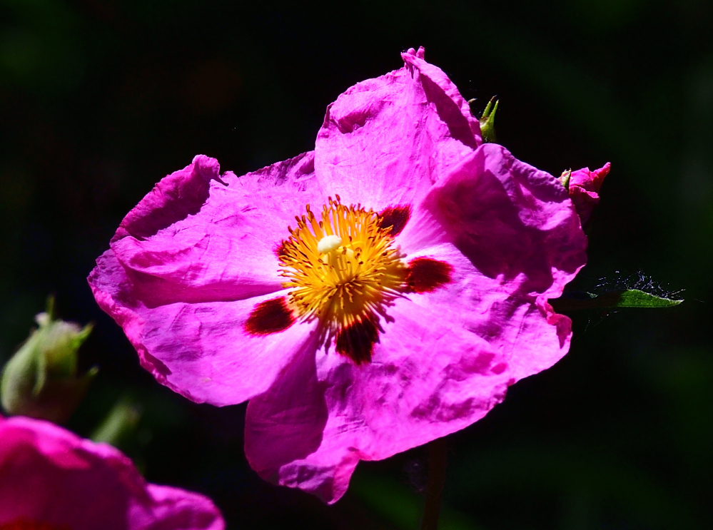 _ROY8801_00001.jpg