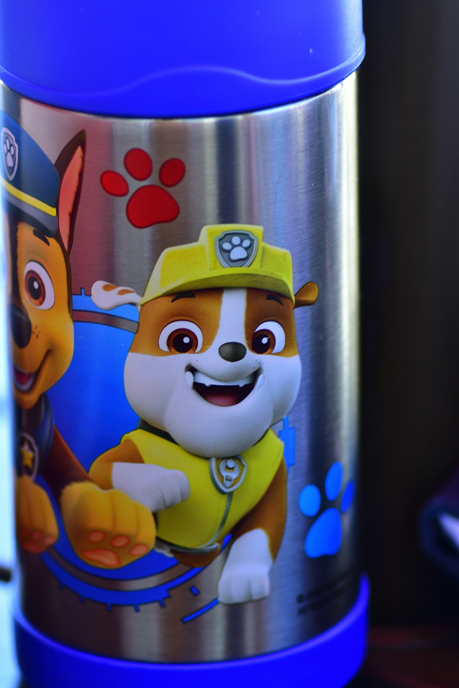 _ROY8955_00001.jpg