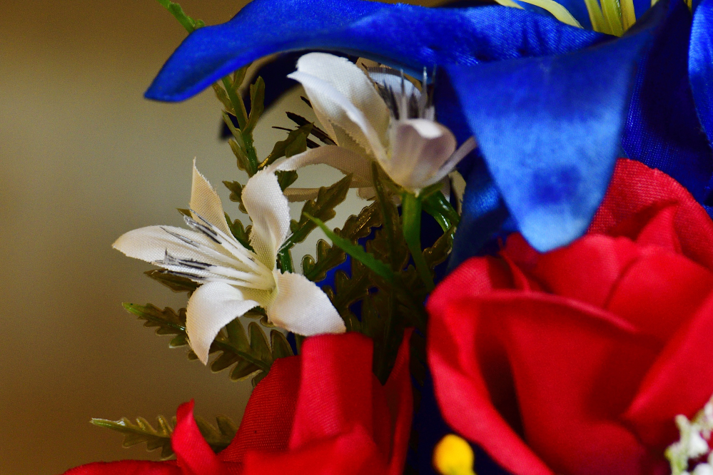 _ROY8959_00001.jpg