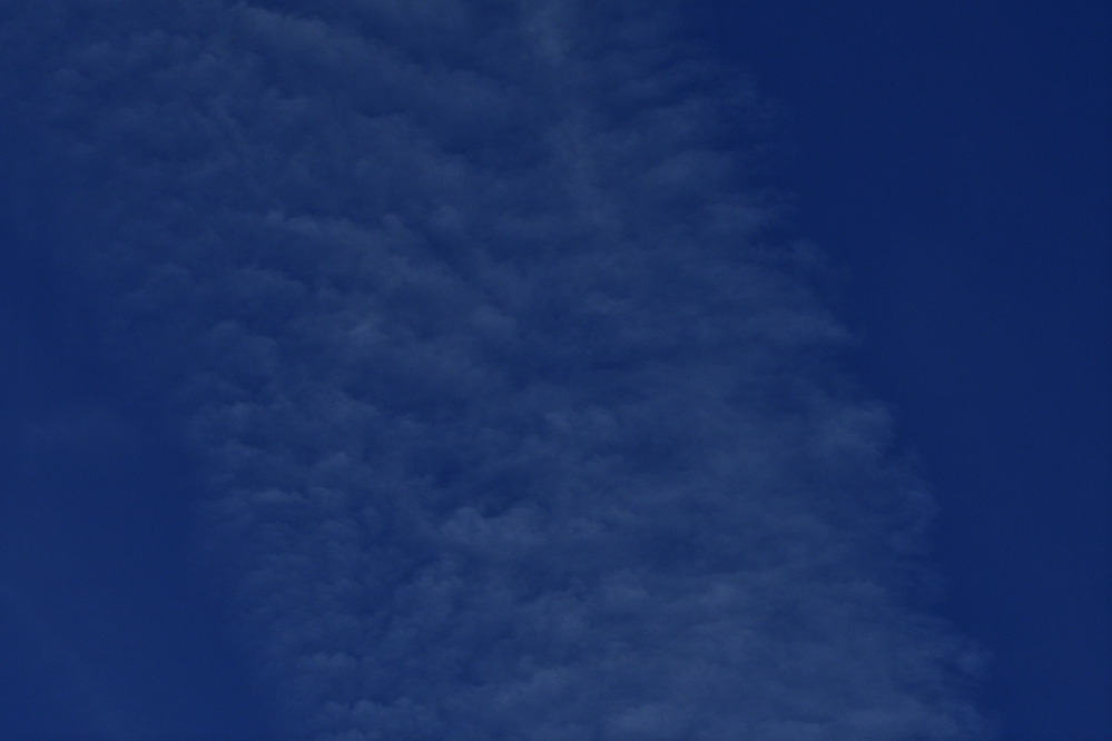 _ROY8970_01.jpg