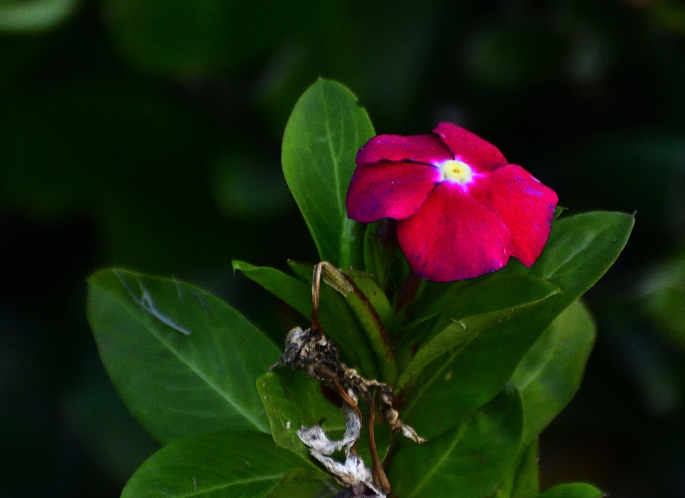 _ROY9038_00001.jpg