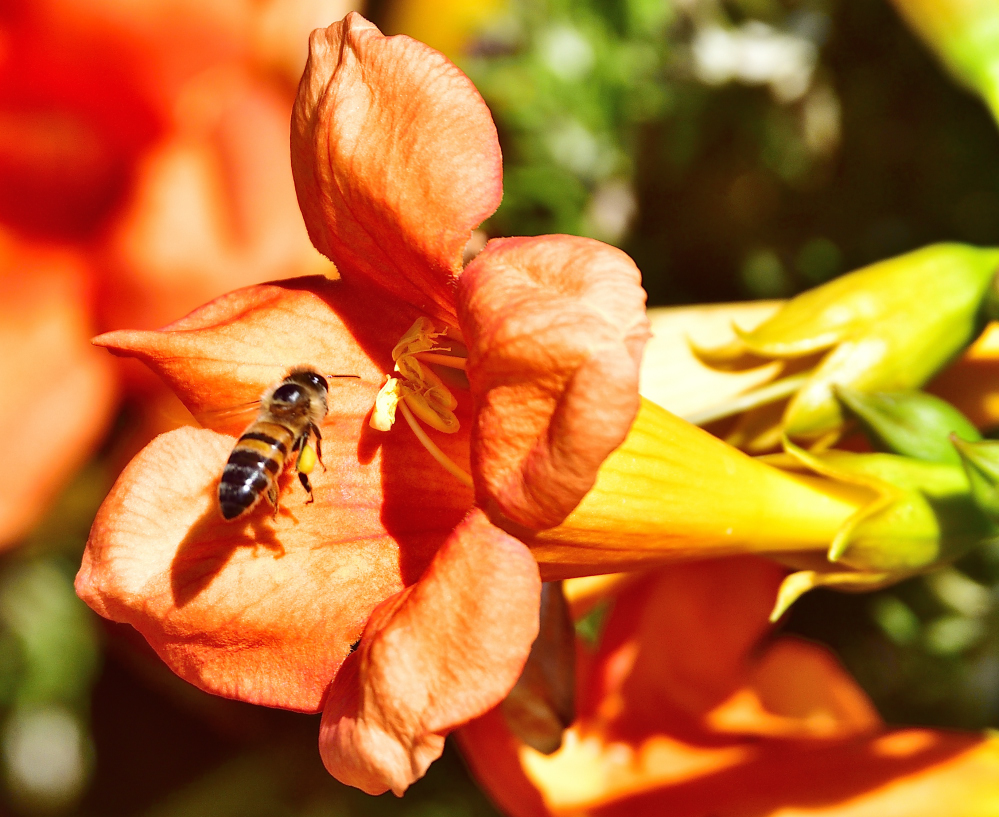 _ROY9107_00001.jpg