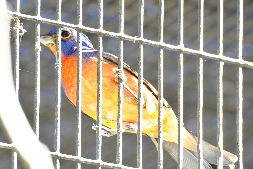 _ROY9122_00001.jpg