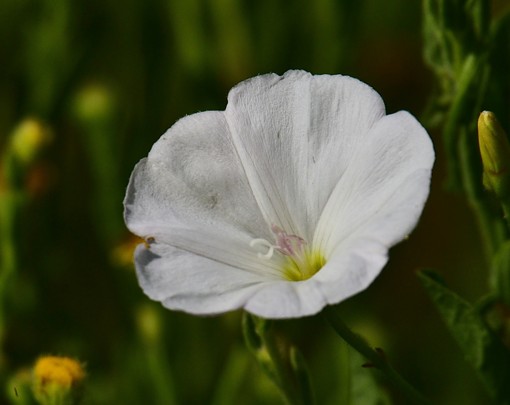 _ROY9145_00001.jpg