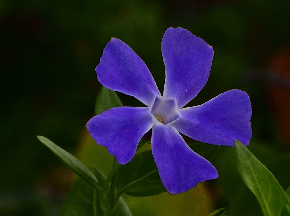 _ROY9165_01.jpg