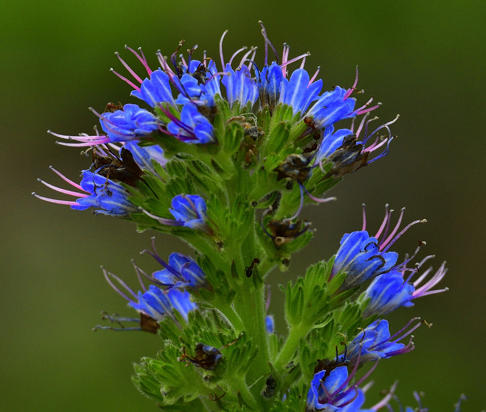_ROY9209_00001.jpg