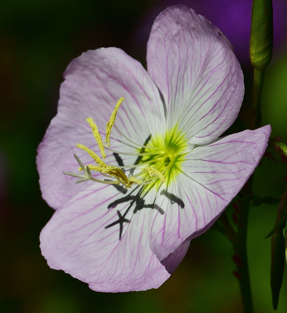 _ROY9228_00001.jpg