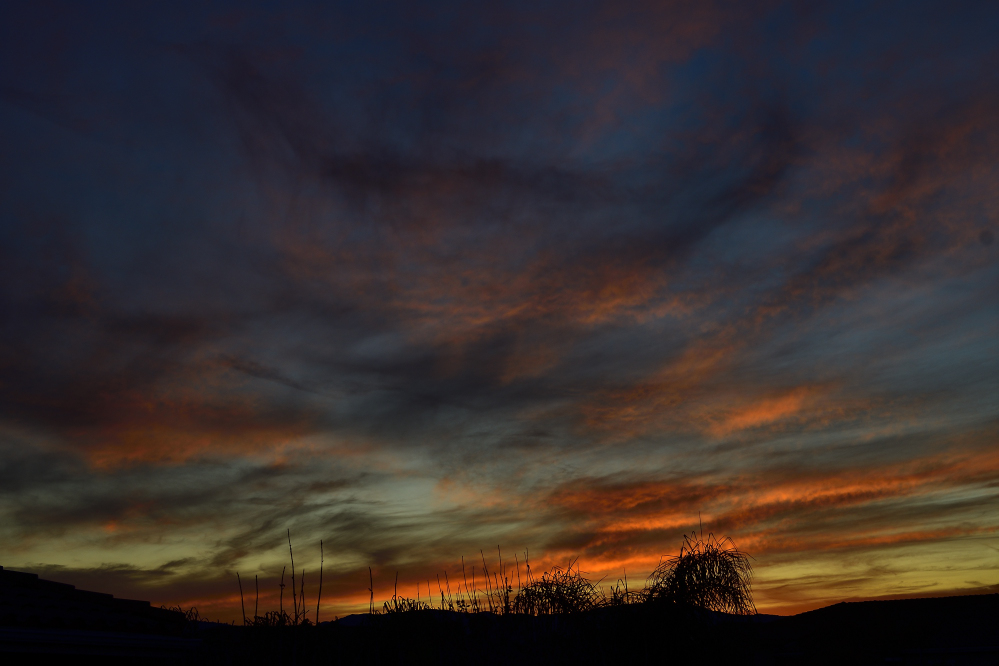 _ROY9249_00001.jpg