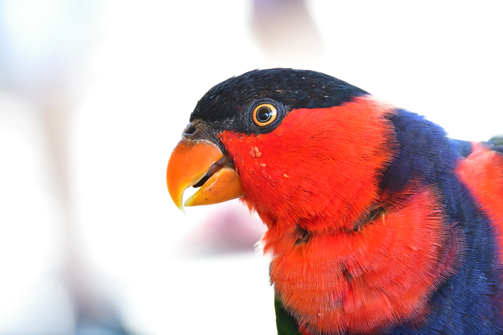 _ROY9280_00001_01.jpg