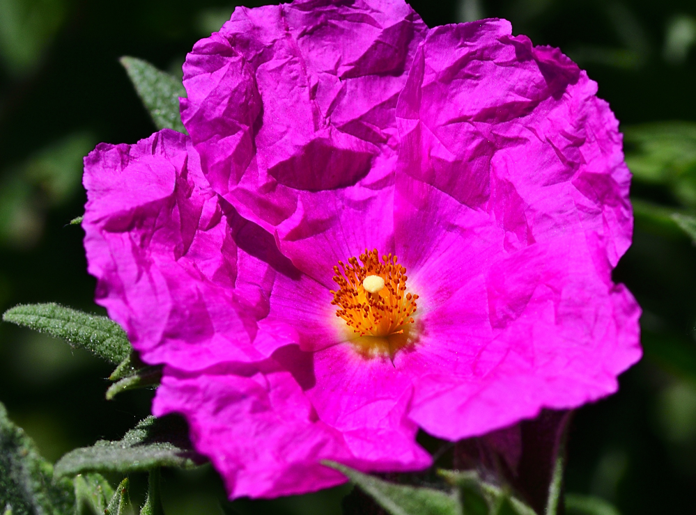 _ROY9285_00001.jpg