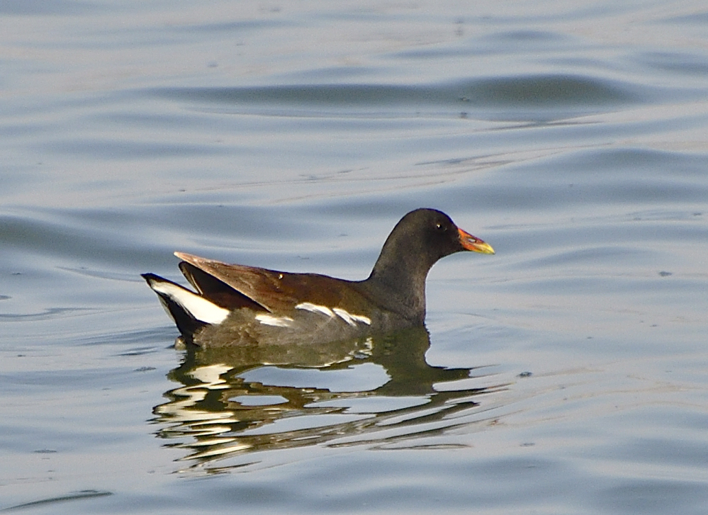 _ROY9297_00001_01.jpg