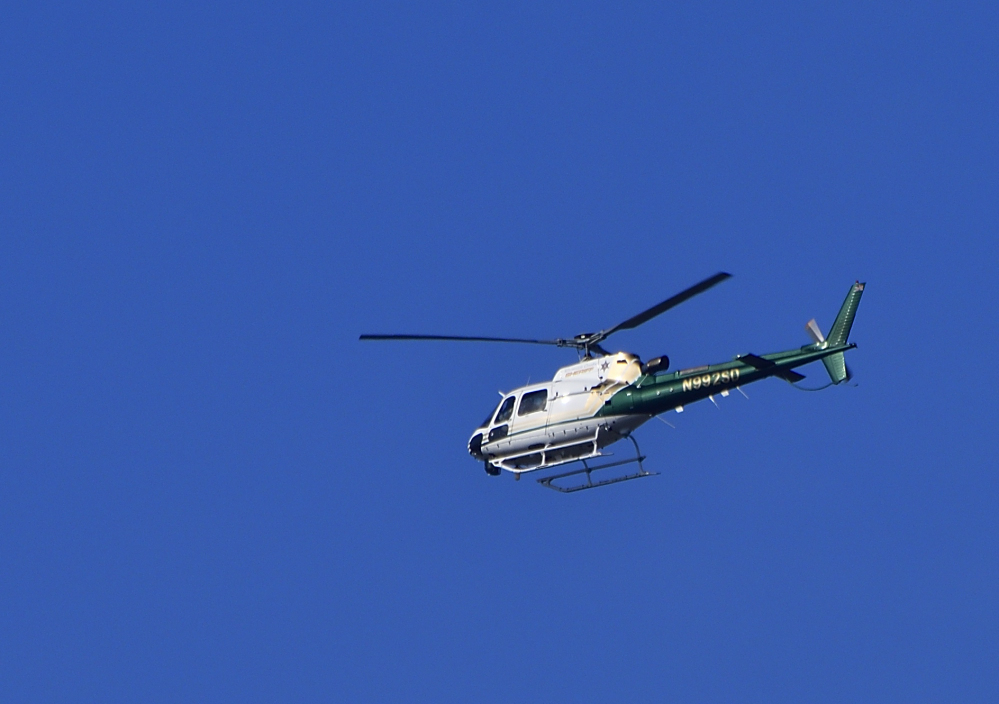 _ROY9340_00001_01.jpg