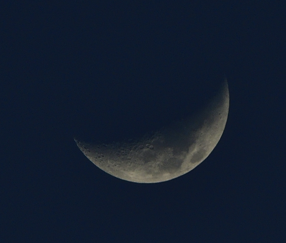 _ROY9355_00001.jpg