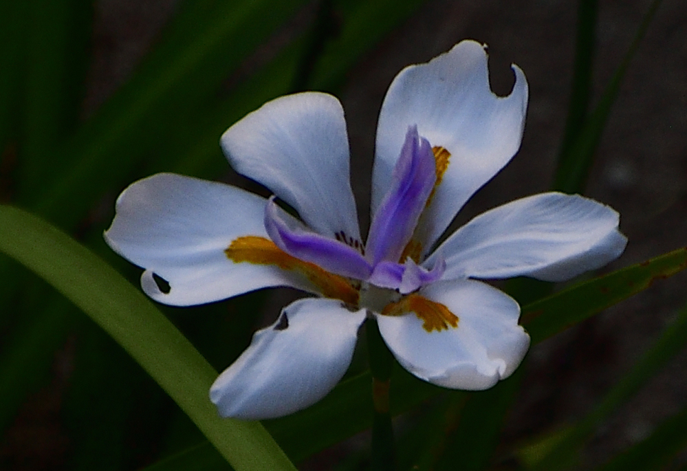 _ROY9357_00001.jpg