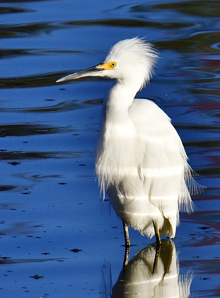 _ROY9368_00001.jpg