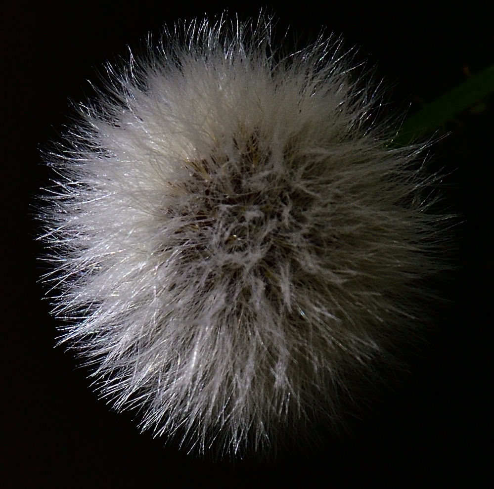 _ROY9412_00001_01.jpg